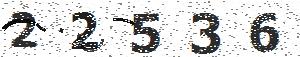 تصویر امنیتی