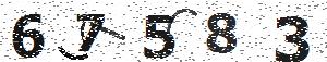 تصویر امنیتی